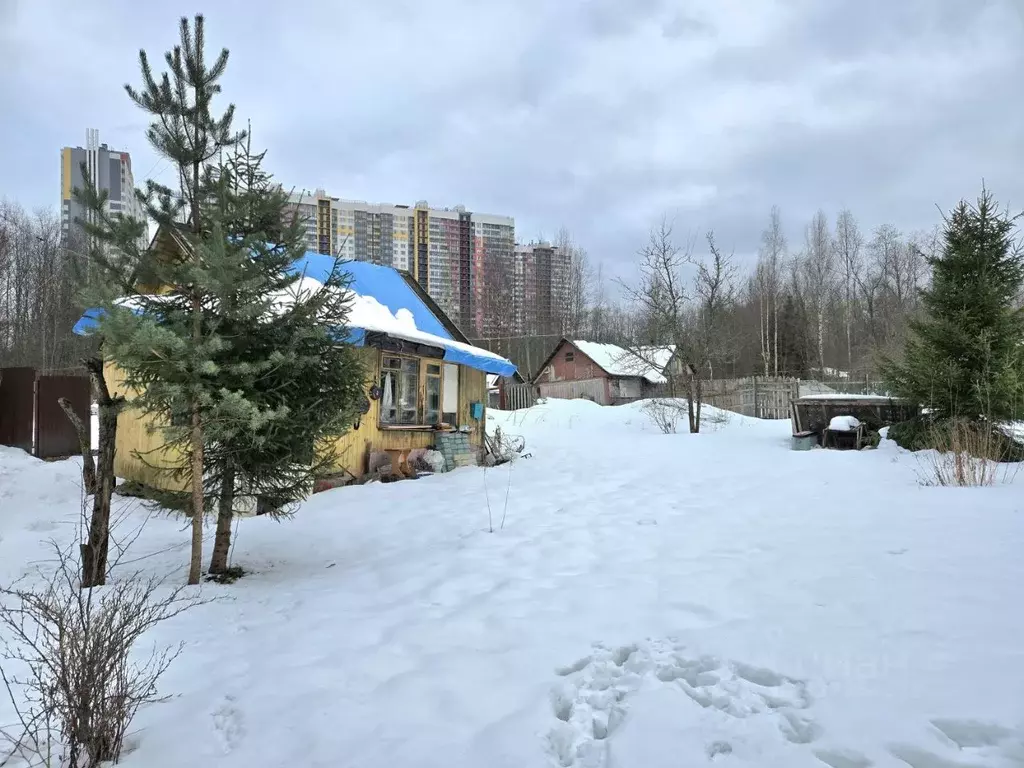 Участок в Санкт-Петербург Лесопромышленный Комбинат Ленметростроя СНТ, ... - Фото 1