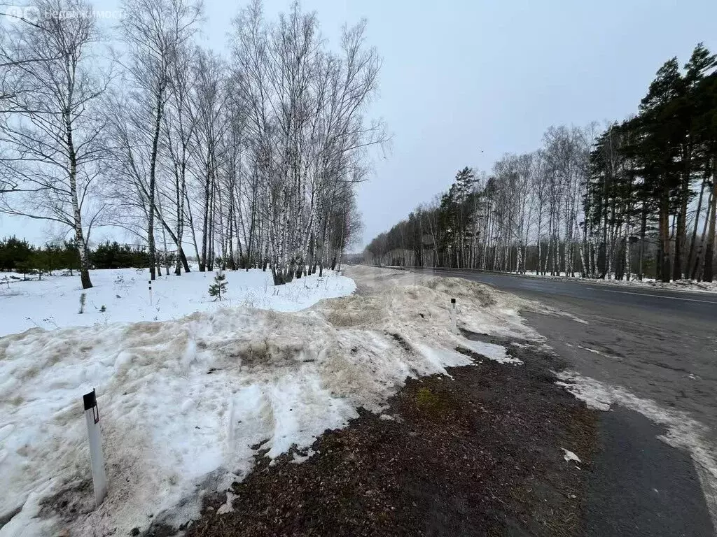 Участок в Хмелевское сельское поселение, посёлок Алексеевский (373 м) - Фото 2