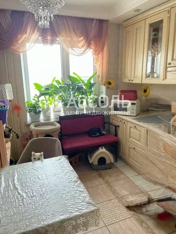 3-к кв. Омская область, Омск ул. 8-я Линия, 78 (70.3 м) - Фото 1