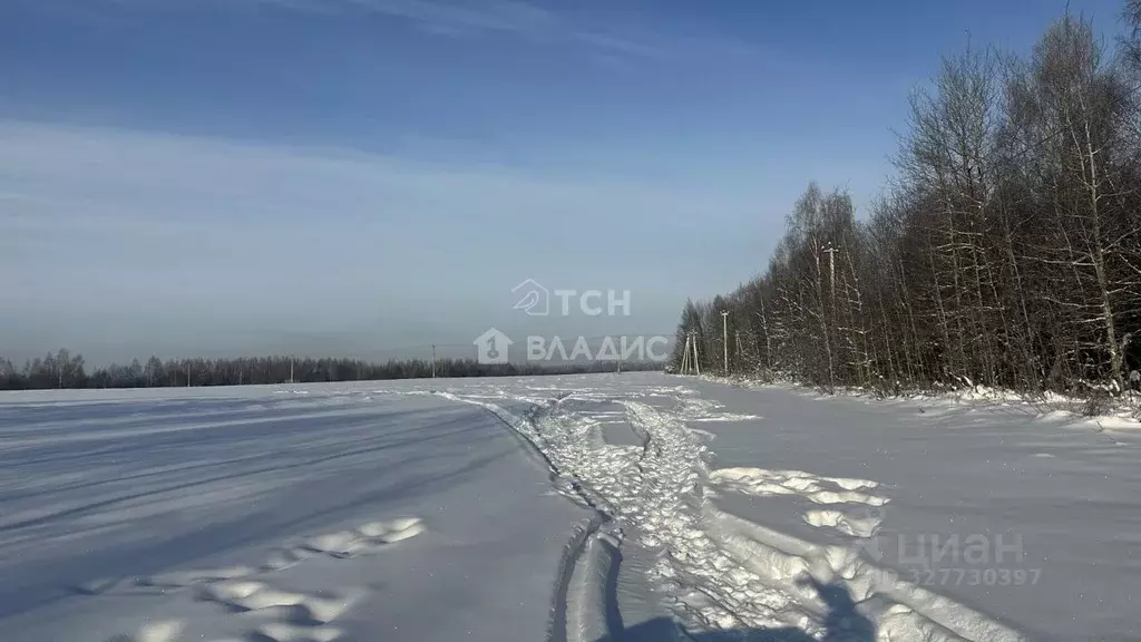 Участок в Московская область, Богородский городской округ, д. Пашуково ... - Фото 1