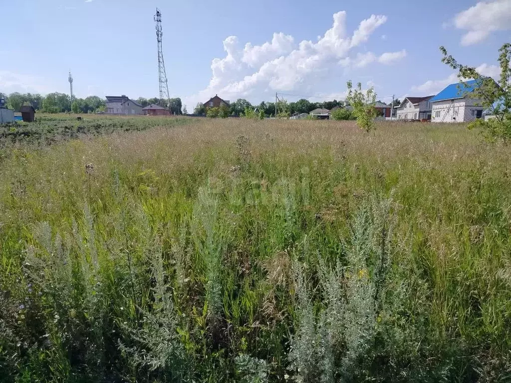 Участок в Мордовия, Лямбирский район, с. Берсеневка ул. Дружбы (10.0 ... - Фото 1