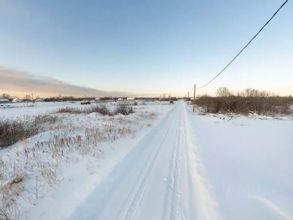 Участок в Тюменская область, Тюмень Большое Царево-1 СНТ,  (9.9 сот.) - Фото 1