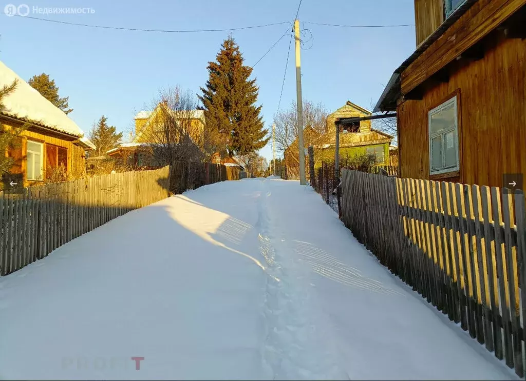 Участок в Камарчагский сельсовет, СНТ Фиалка, Зелёная улица (7.29 м) - Фото 1