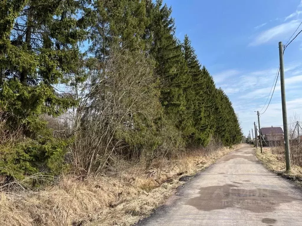 Участок в Ленинградская область, Тосненское городское поселение, д. ... - Фото 2