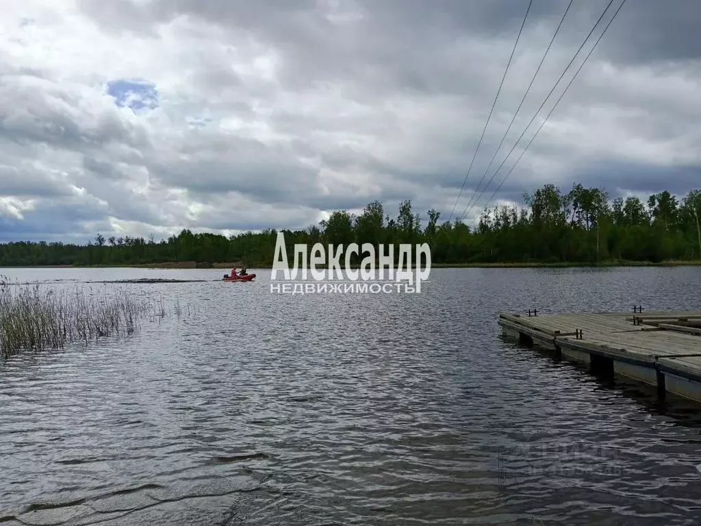 Участок в Ленинградская область, Приозерский район, Ларионовское ... - Фото 0