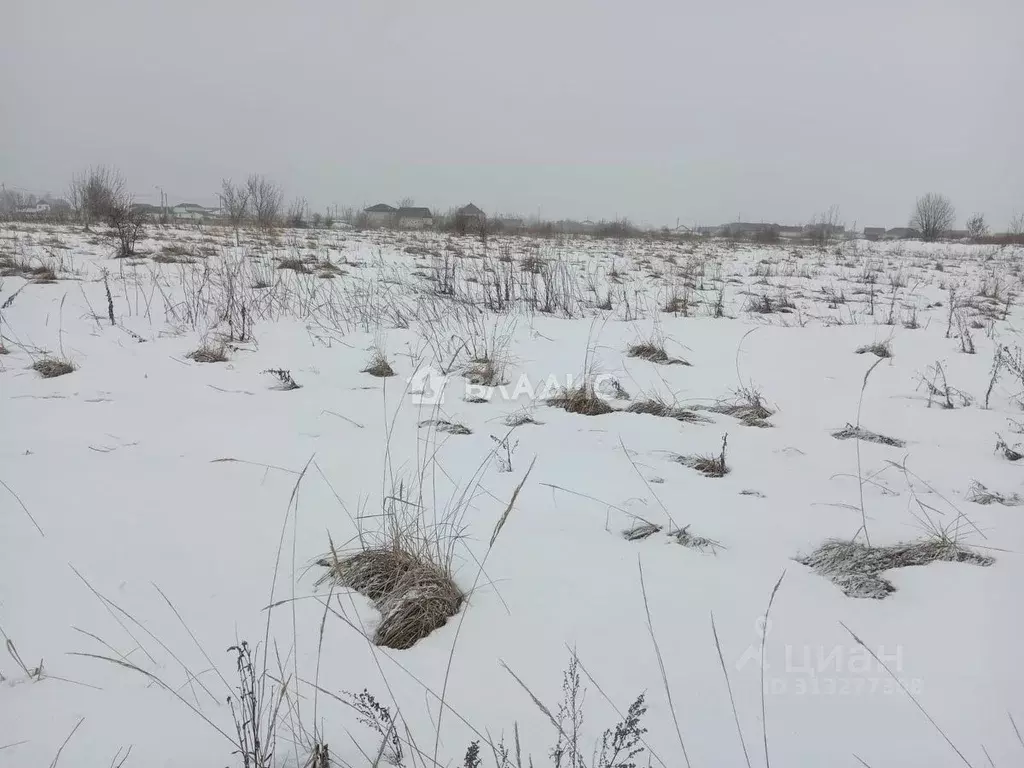 Участок в Пензенская область, Бессоновский район, с. Грабово Лесная ... - Фото 1