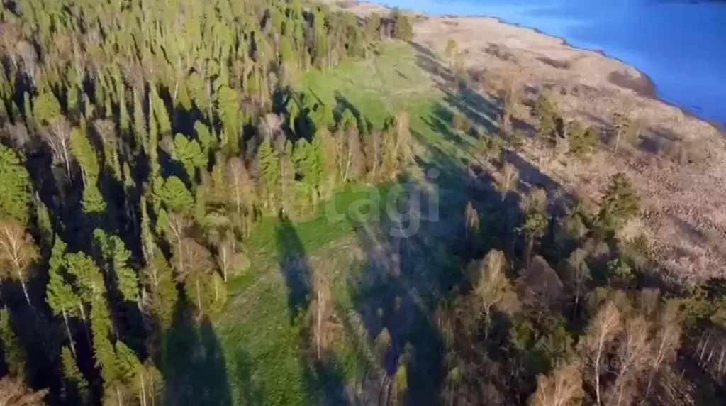 Участок в Алтай, Турочакский район, с. Артыбаш Телецкая ул. (40.0 ... - Фото 1