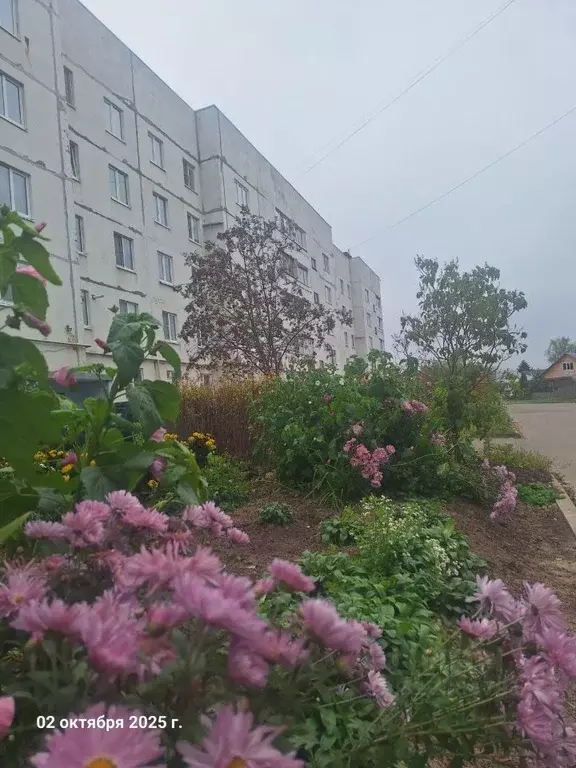 3-к кв. Костромская область, Нерехта ул. Глазова, 7 (67.0 м) - Фото 0