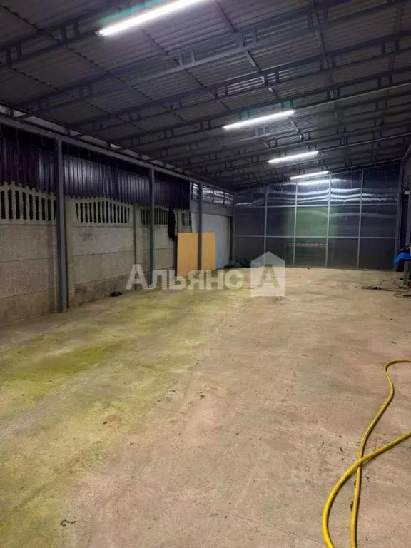 Дом в Краснодарский край, Усть-Лабинский район, Некрасовское с/пос, ... - Фото 2