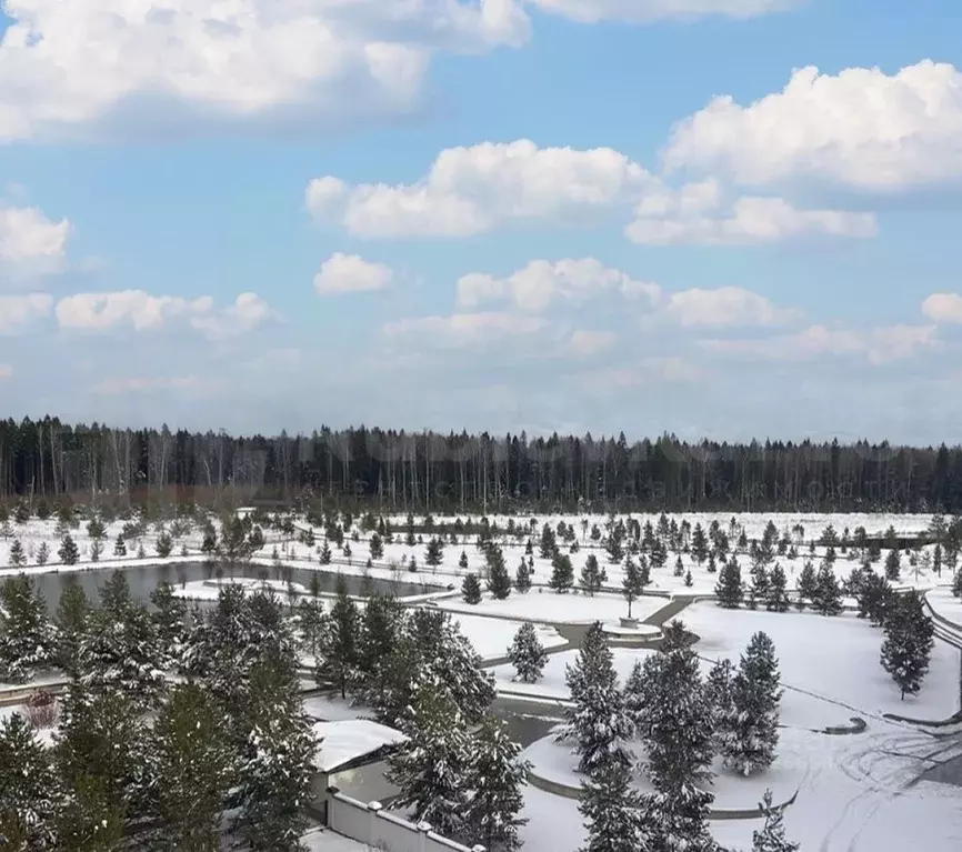 2-к кв. Московская область, Одинцовский городской округ, д. Семенково, ... - Фото 1