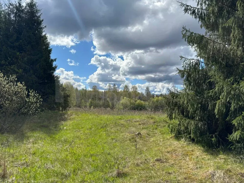 Участок в Новгородская область, Боровичский район, Опеченское с/пос, ... - Фото 2