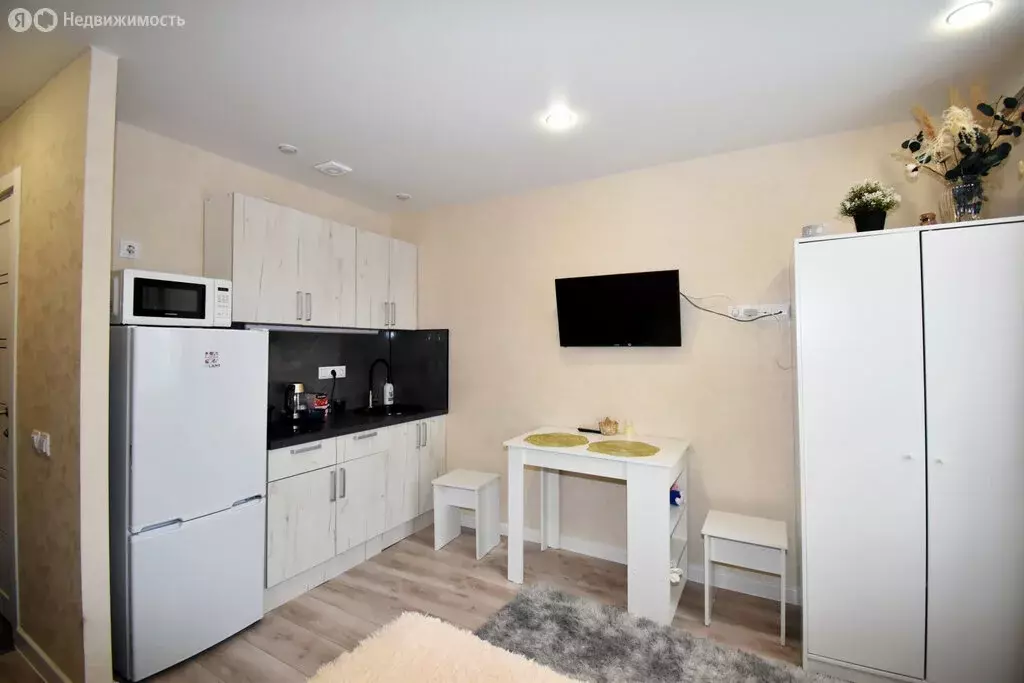 Квартира-студия: Нижний Новгород, Берёзовская улица, 106 (16.2 м) - Фото 1