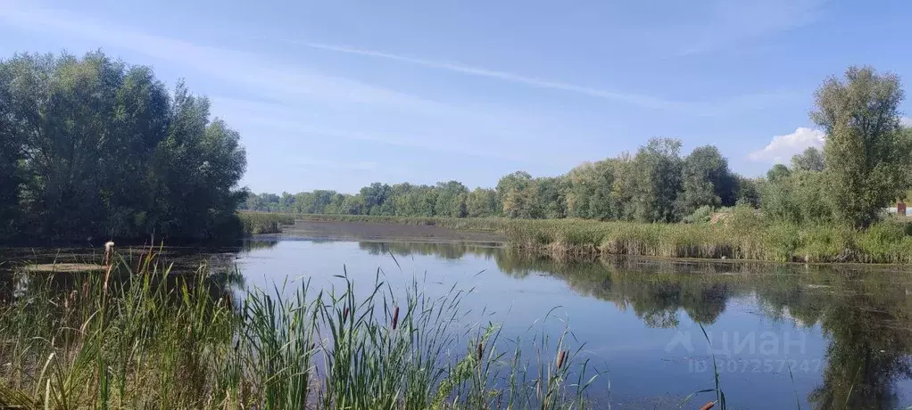 участок в самарская область, новокуйбышевск ул. загородная (8.0 сот.) - Фото 1