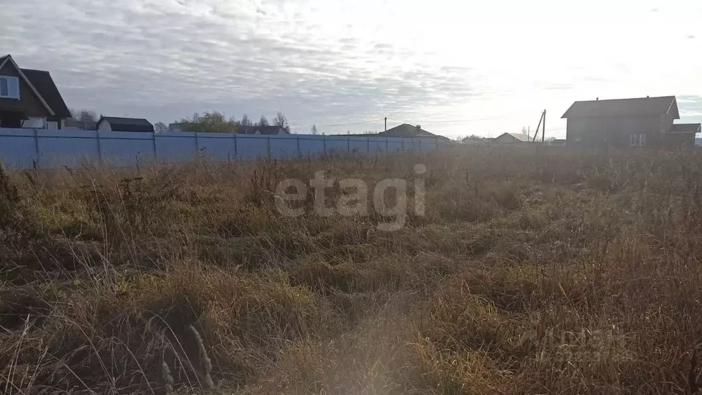 Участок в Ярославская область, Ярославский муниципальный округ, д. ... - Фото 2