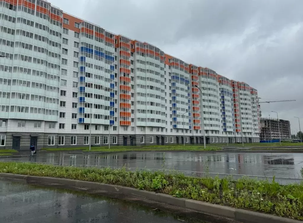 Студия Ленинградская область, Всеволожский район, Заневское городское ... - Фото 2
