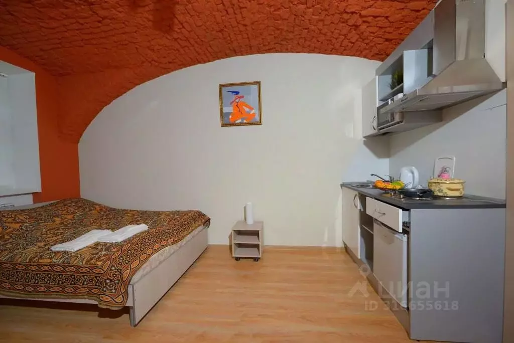 1-к кв. Санкт-Петербург пер. Апраксин, 11 (19.0 м) - Фото 1