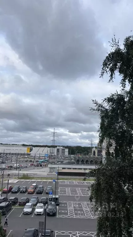 2-к кв. Санкт-Петербург Богатырский просп., 3К1 (44.3 м) - Фото 2