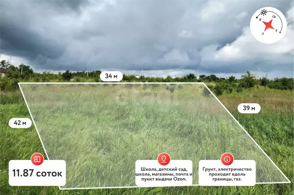 Участок в Калининградская область, Багратионовский муниципальный ... - Фото 1