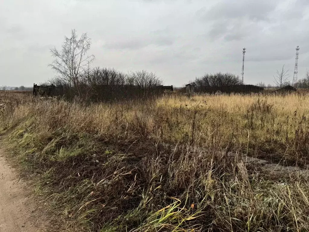 Участок в Московская область, Богородский городской округ, д. ... - Фото 1