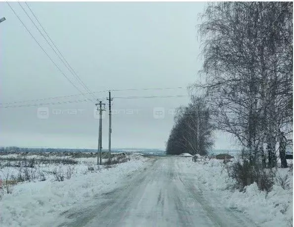 Участок в Татарстан, Лаишевский район, Егорьевское с/пос, д. Зимняя ... - Фото 1