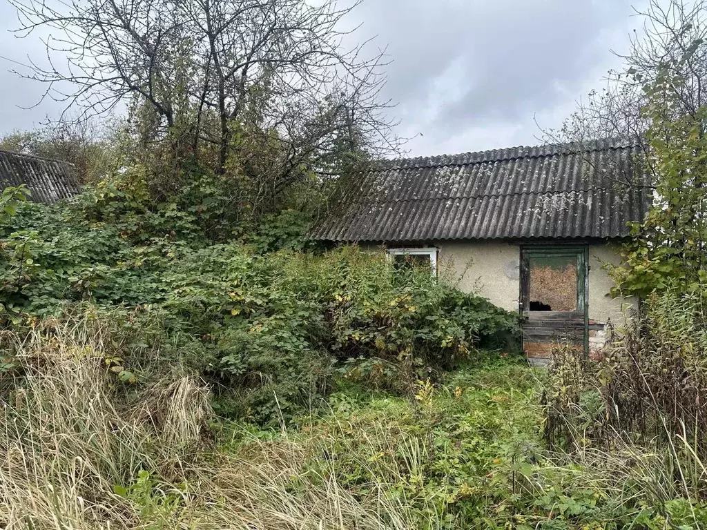 Участок в Калининградская область, Калининград 50 лет Октября СНТ, ул. ... - Фото 1