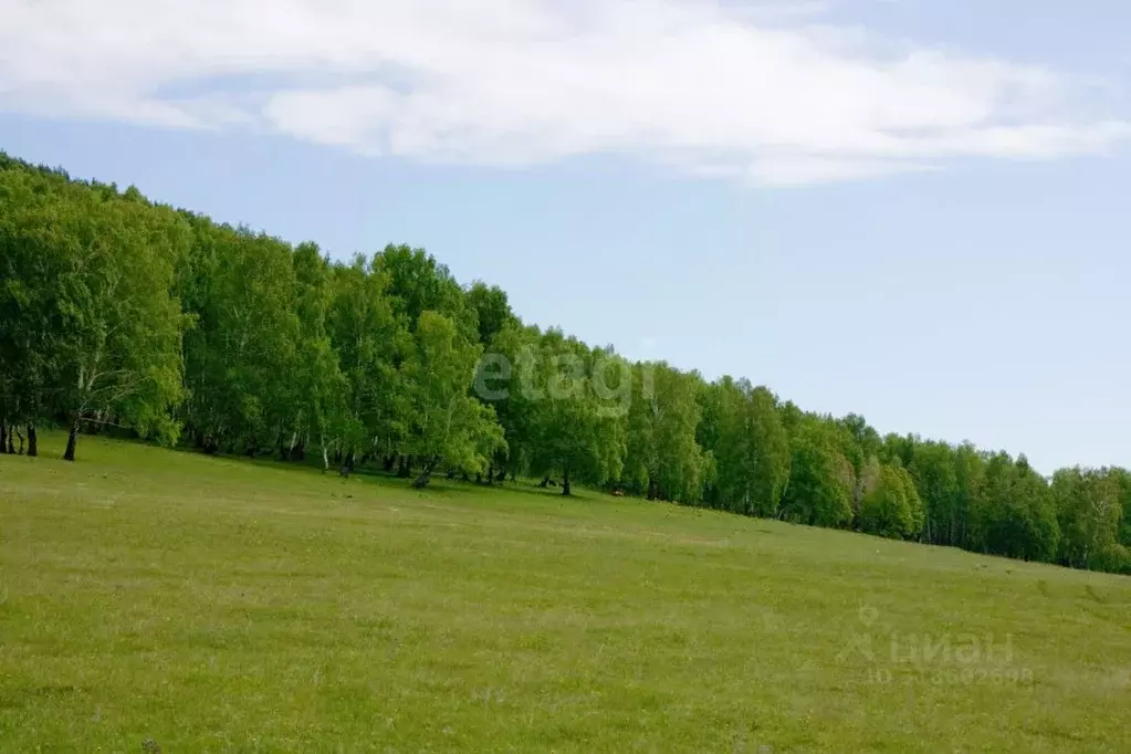Участок в Башкортостан, Караидельский район, Байкинский сельсовет, д. ... - Фото 1
