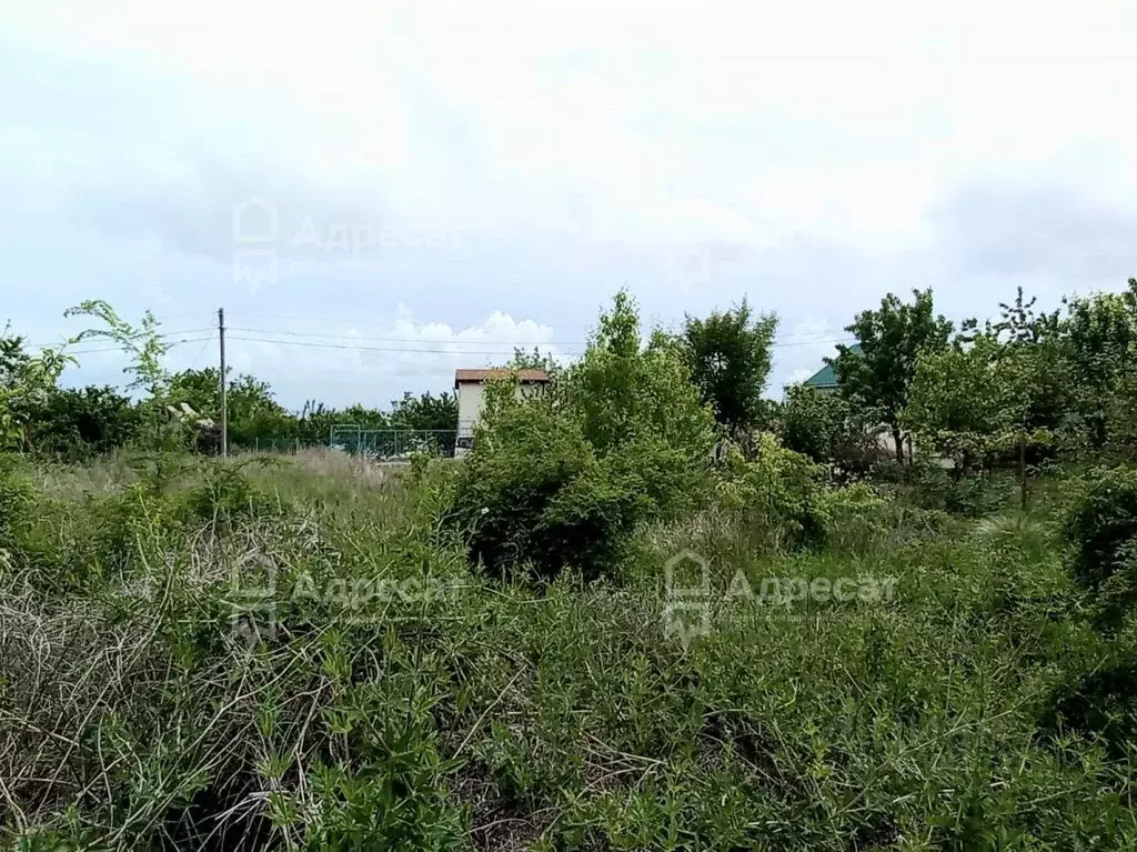 Участок в Волгоградская область, Городищенский район, Ерзовское ... - Фото 1