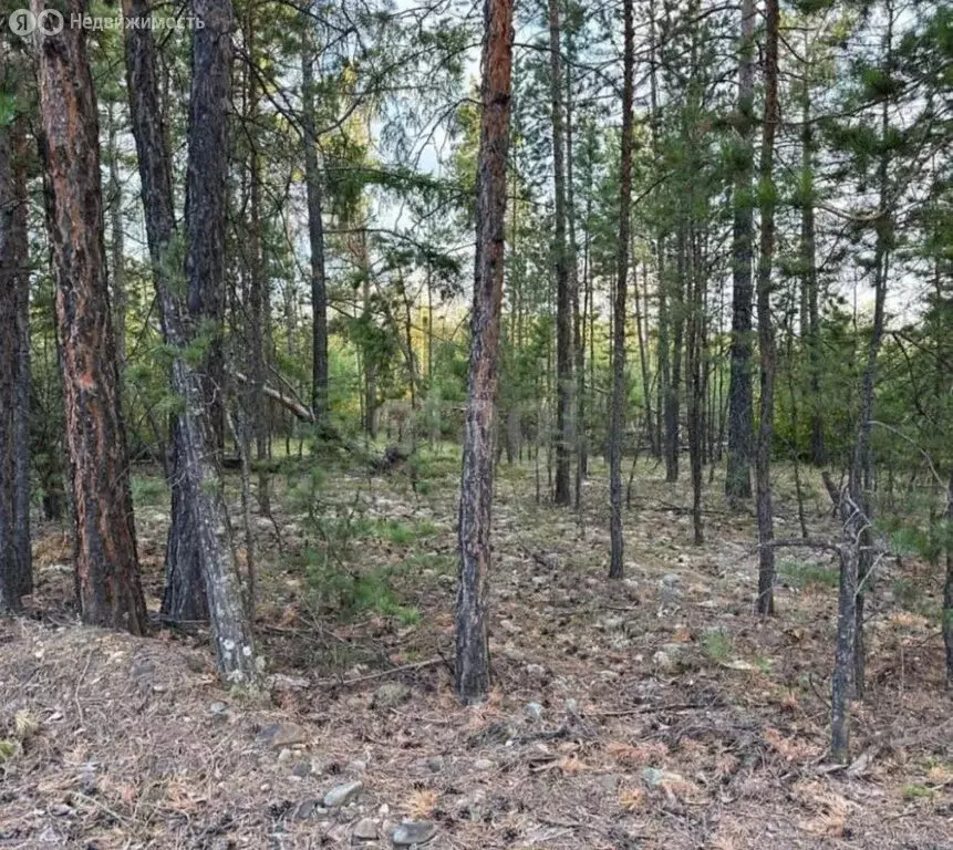 Участок в посёлок городского типа Нижний Бестях, улица Макара Баишева ... - Фото 1