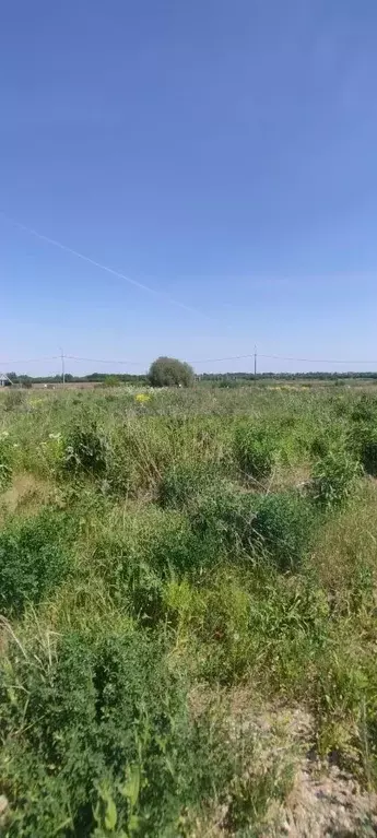 Участок в Московская область, Раменский городской округ, д. Тимонино, ... - Фото 0