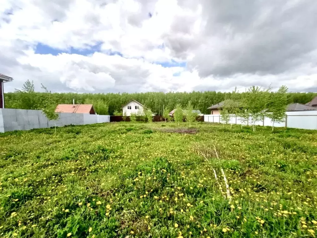 Участок в Нижегородская область, Богородский муниципальный округ, д. ... - Фото 1