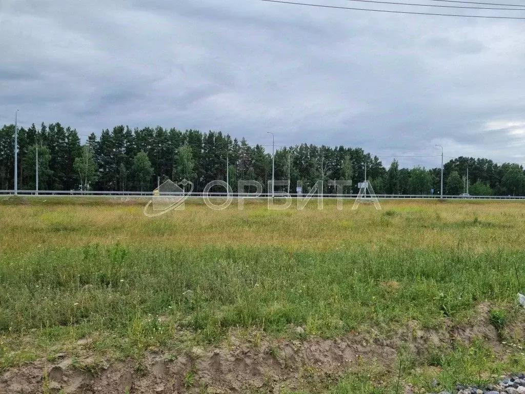 Участок в Тюменская область, Тюменский район, с. Щербак  (5.9 сот.) - Фото 1