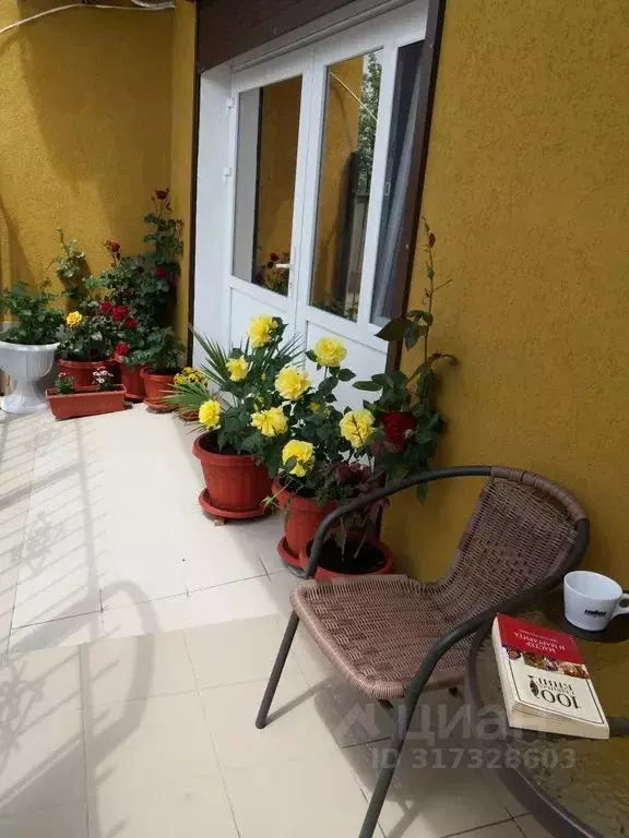 Студия Крым, Алушта ул. Пуцатова, 18А (32.0 м) - Фото 1