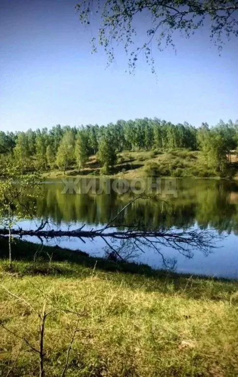 Участок в Новосибирская область, Новосибирский район, Станционный ... - Фото 1