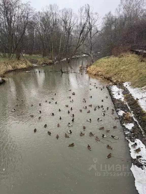 1-к кв. Москва д. Марьино, ул. Жемчужная, 1к3 (40.0 м) - Фото 1