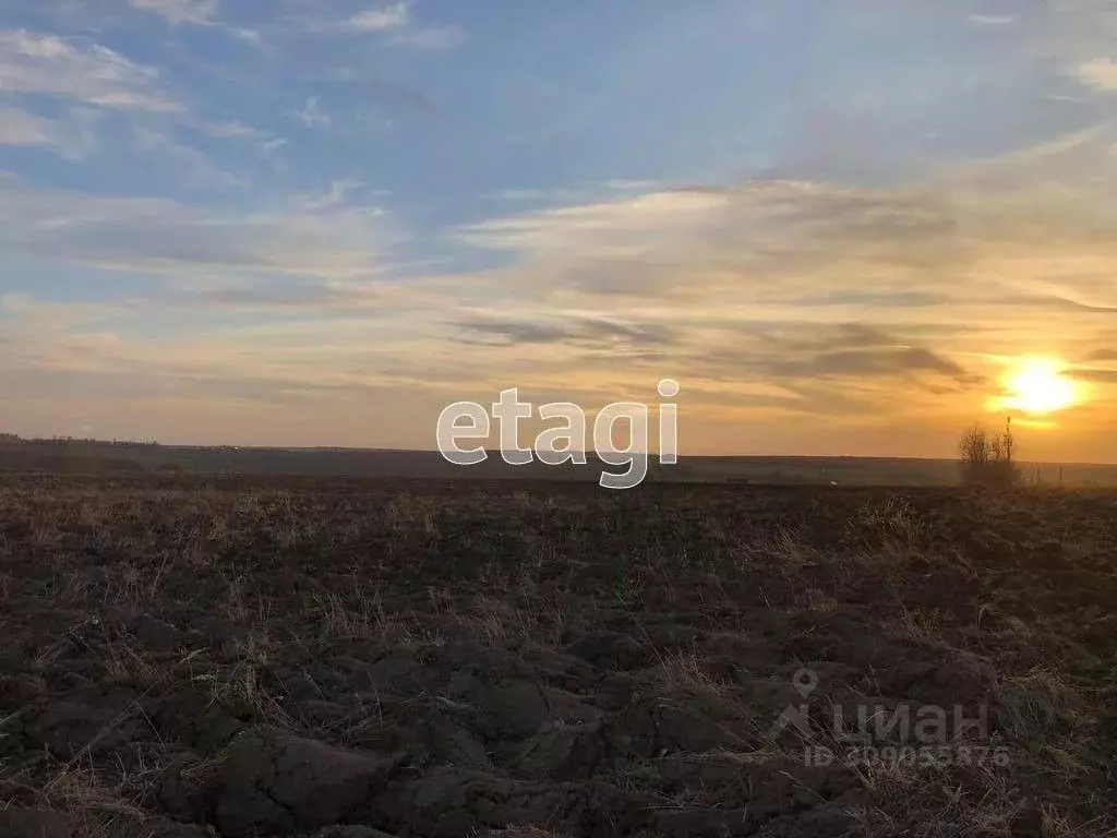 Участок в Татарстан, Лаишевский район, с. Татарский Янтык  (600.0 ... - Фото 0