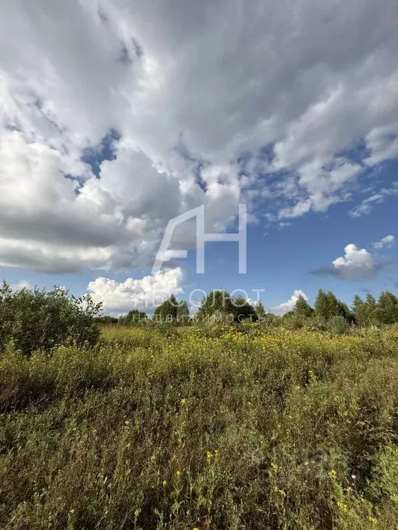 Участок в Владимирская область, Александровский муниципальный округ, ... - Фото 1