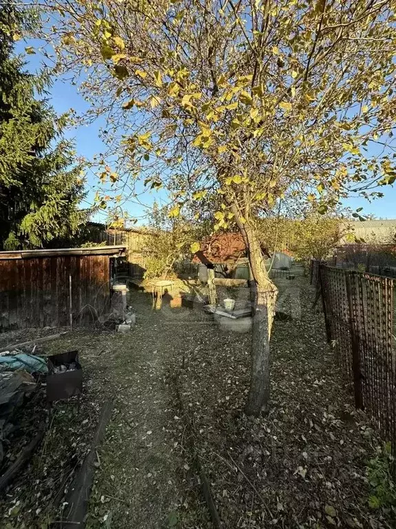 Участок в Курганская область, Кетовский муниципальный округ, Эталон ... - Фото 2