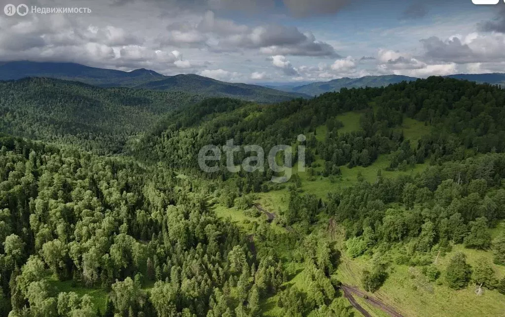 Участок в Чемальский район, Чемальский тракт (92.3 м) - Фото 1