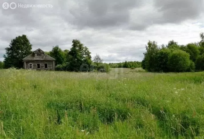 Участок в Чухломский район, Повалихинское сельское поселение, посёлок ... - Фото 0