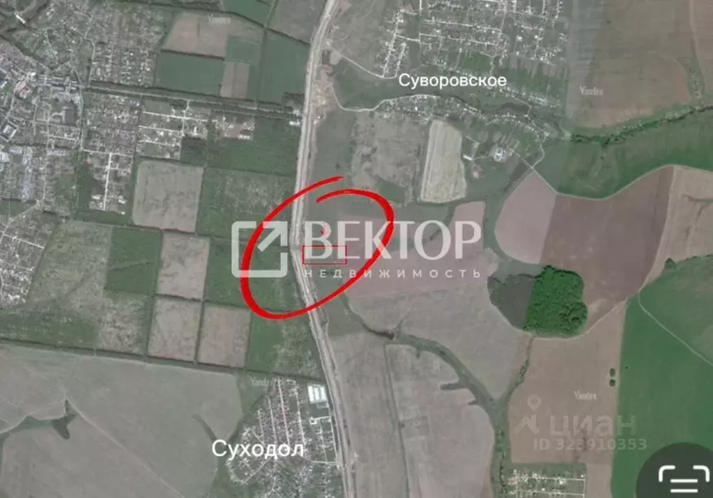 Участок в Владимирская область, Суздальский район, Боголюбовское ... - Фото 1