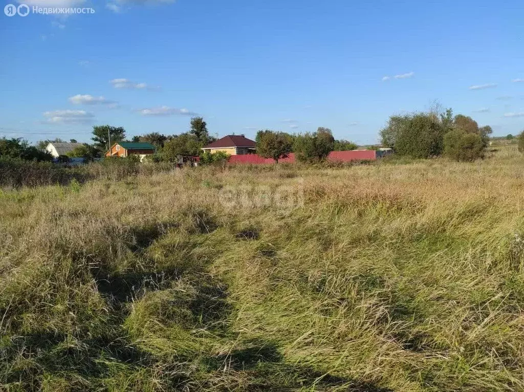 Участок в село Беломестное, Центральная улица (41 м) - Фото 0