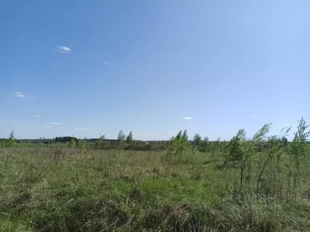 Участок в Московская область, Чехов муниципальный округ, Крюково пгт ... - Фото 0