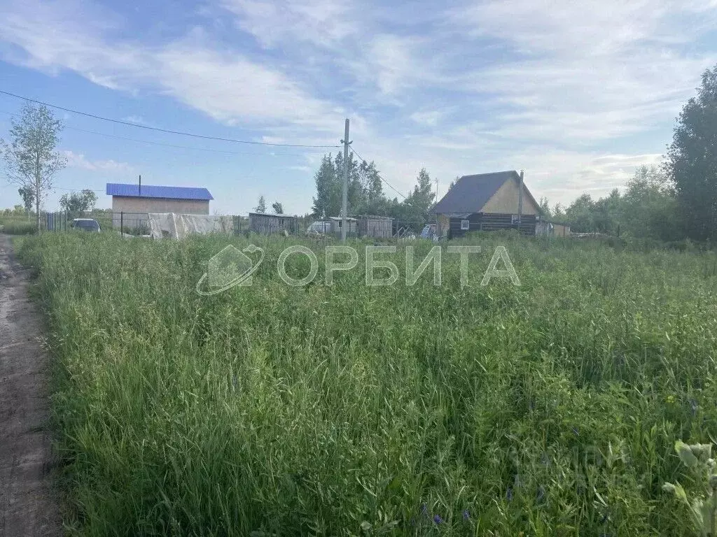 Участок в Тюменская область, Тюменский район, с. Каменка, Подушкино ... - Фото 0