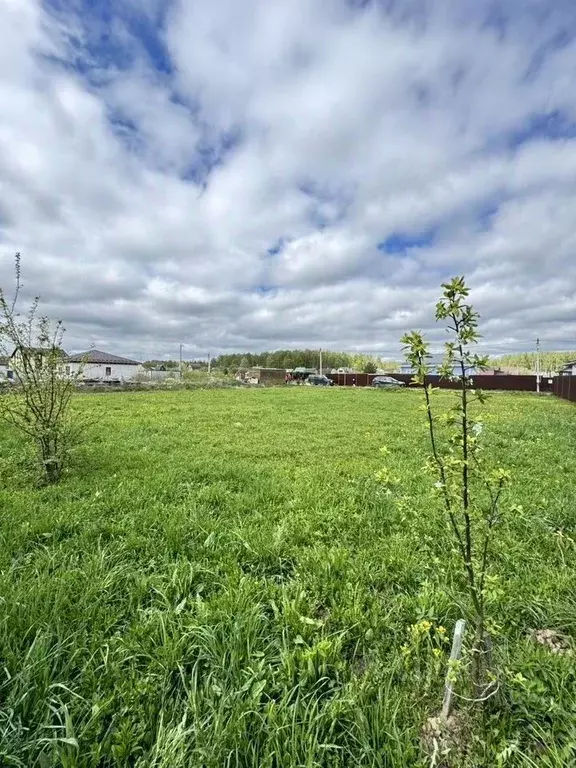 Участок в Московская область, Подольск городской округ, Лопатино СНТСН ... - Фото 2