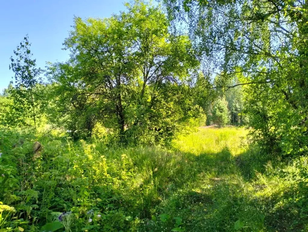 Участок в Новгородская область, Крестецкий муниципальный округ, д. ... - Фото 1