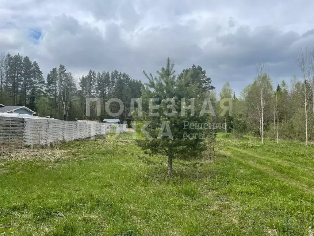 Участок в Новгородская область, Боровичский район, Сушанское с/пос, ... - Фото 1