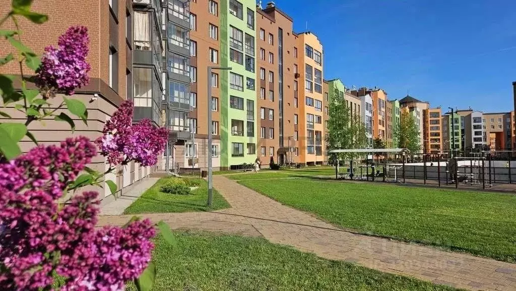 2-к кв. Кировская область, Киров ул. Капитана Дорофеева, 26 (41.0 м) - Фото 1