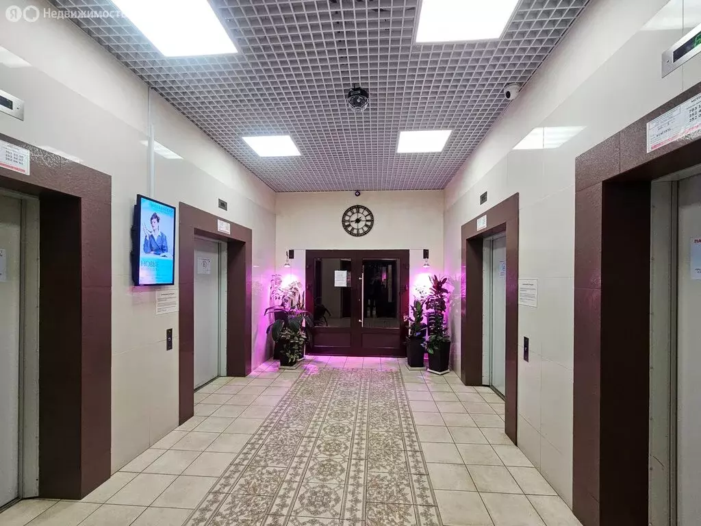 3-комнатная квартира: Санкт-Петербург, улица Белы Куна, 1к2 (80 м) - Фото 2