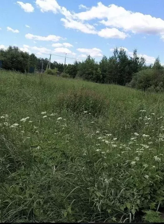 Участок в Московская область, Серпухов городской округ, пос. Большевик ... - Фото 1