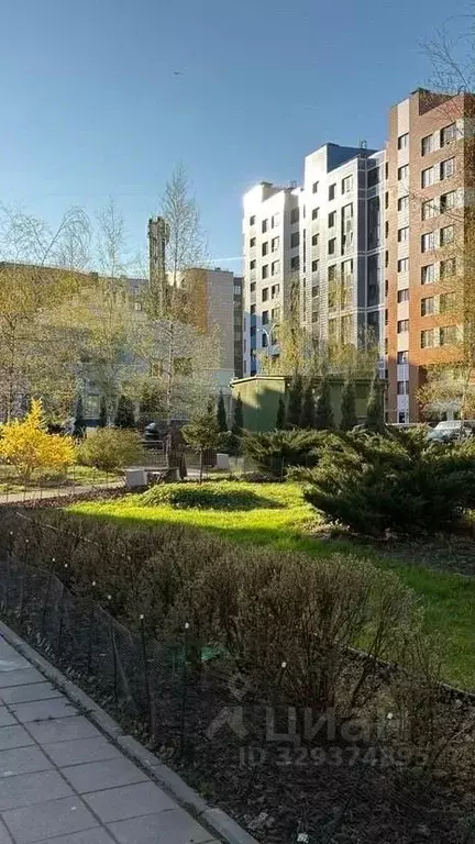 Студия Санкт-Петербург ул. Академика Павлова, 6к1 (46.0 м) - Фото 1